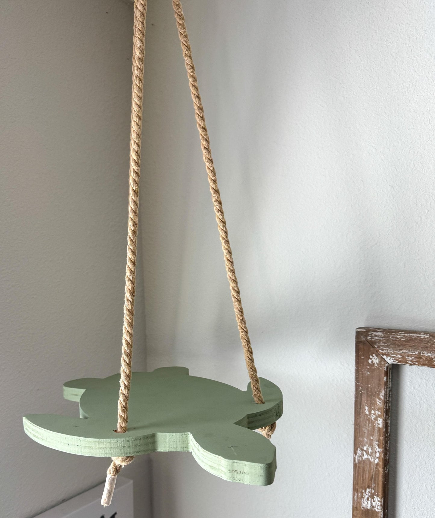 Sea Turtle Macramé Plant Hanger