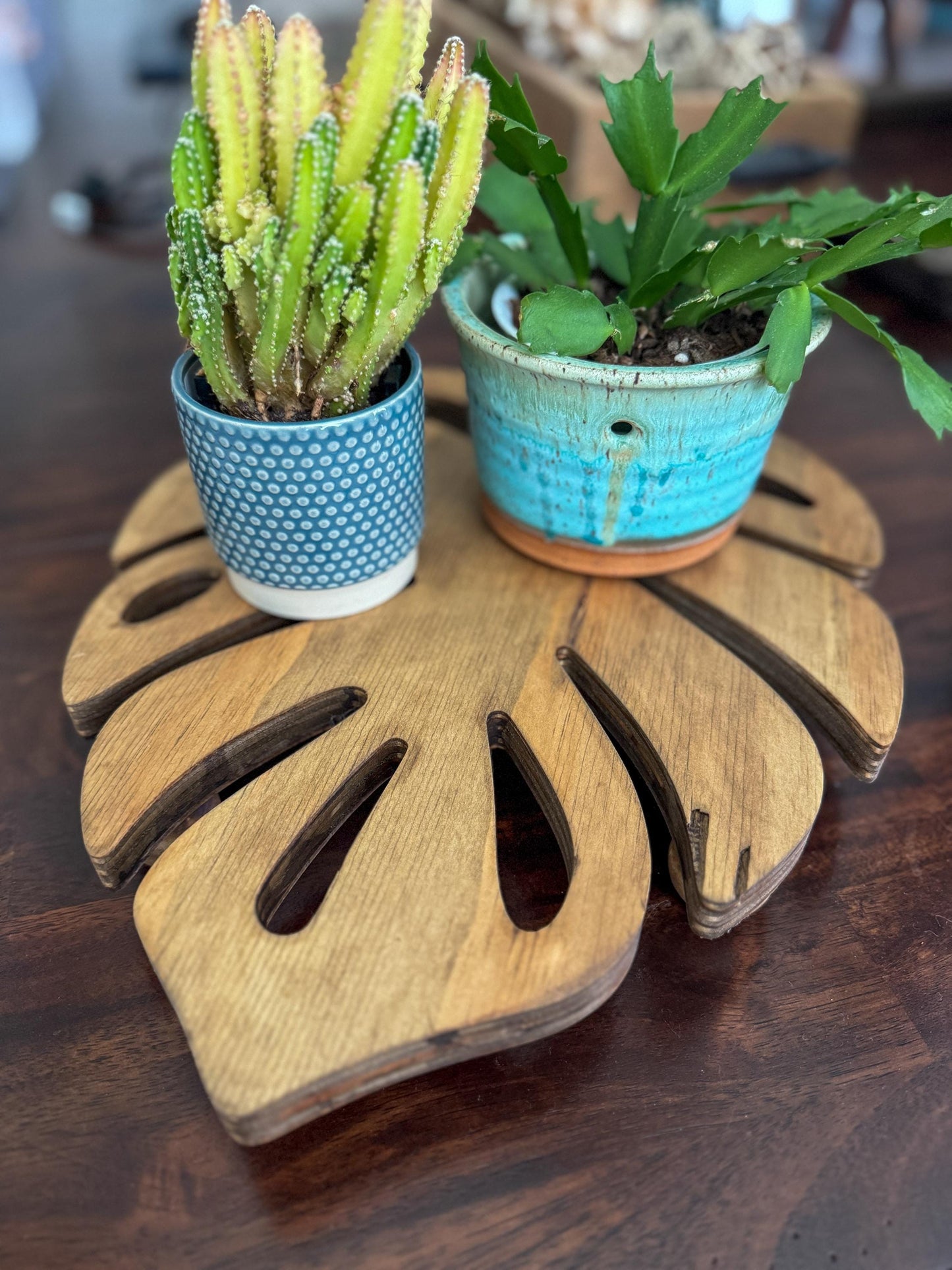 Monstera Leaf Riser