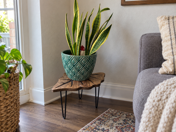 Best Plant Stand Ideas for Small Spaces