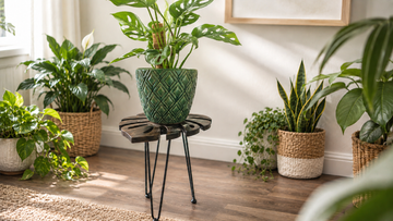 How to Display Houseplants: 10 Ideas That Make Your Plants Part of Your Home Décor