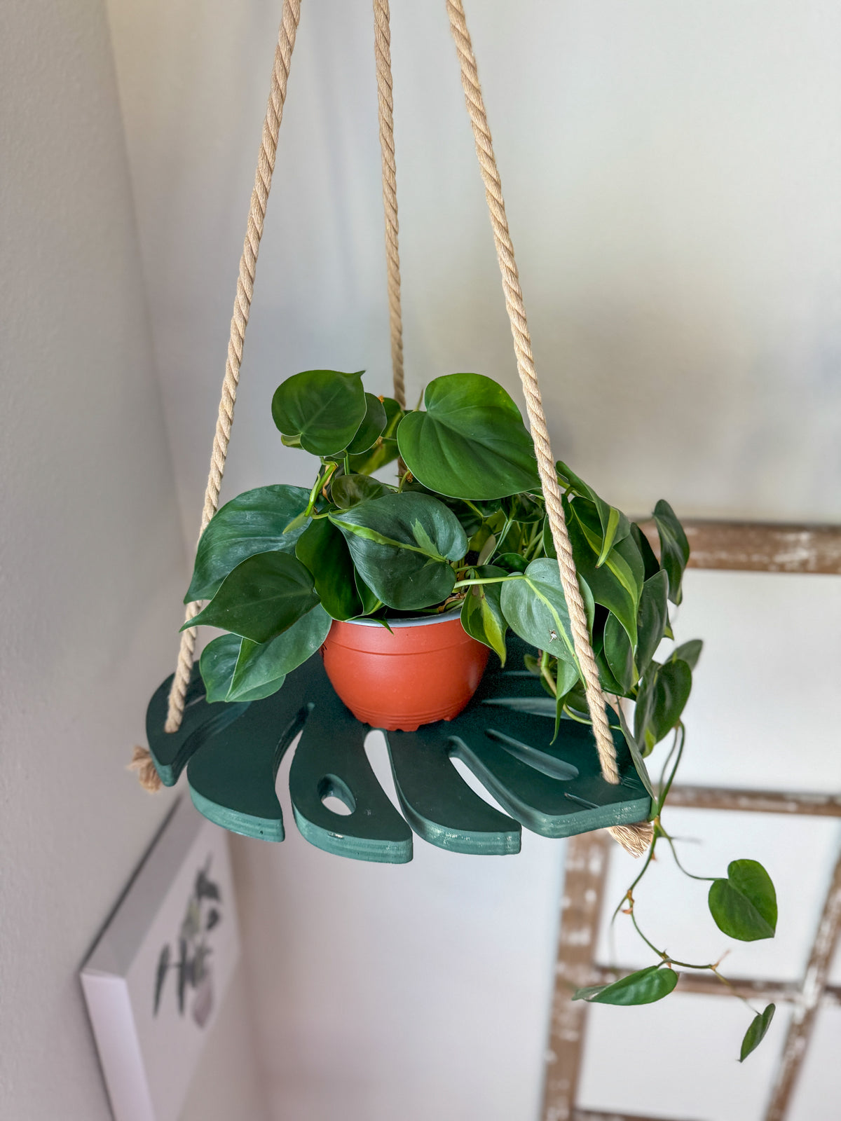 Monstera leaf plant hanger styled in a boho living room
