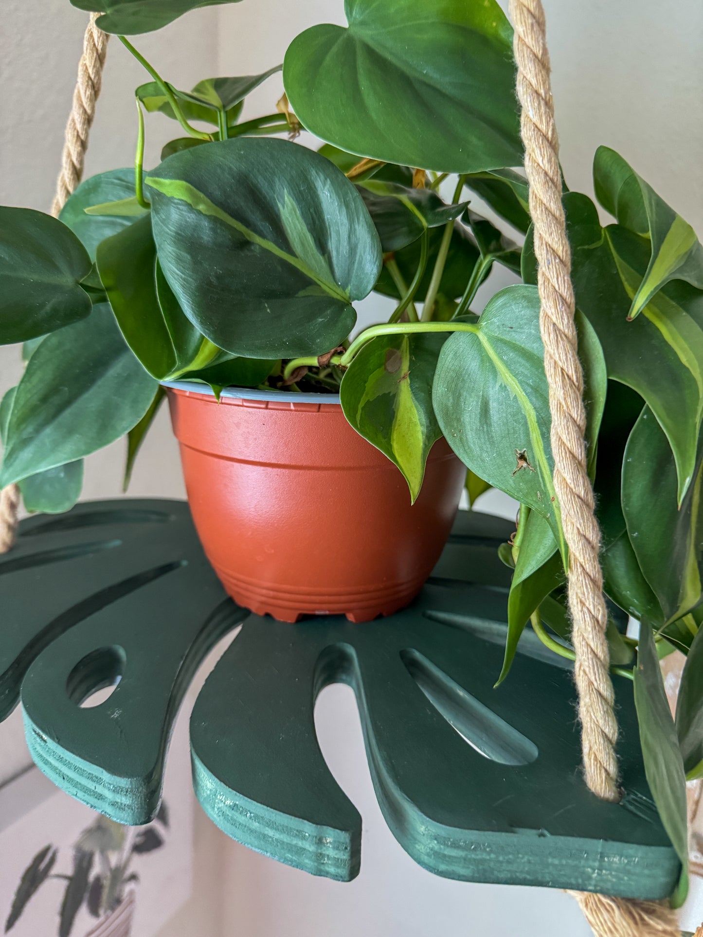 Monstera Leaf Plant Hanger