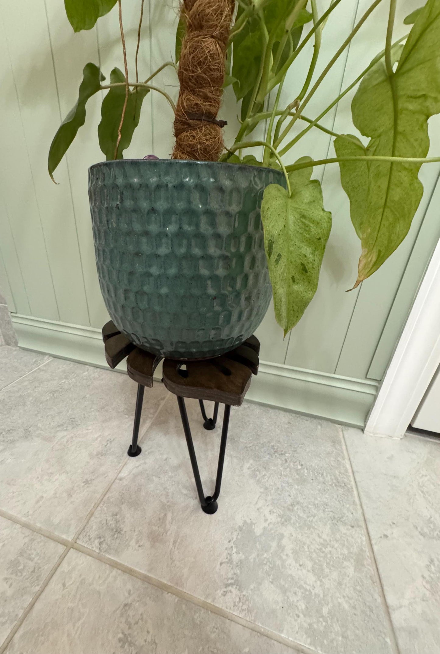 Monstera Leaf Plant Stand