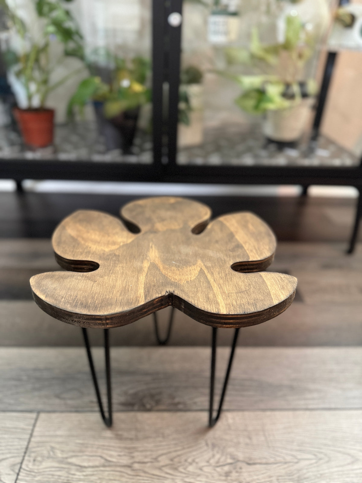 Handcrafted fig leaf plant stand in espresso stain on white background