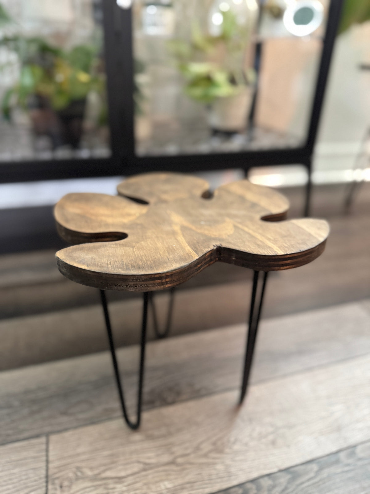 Fig leaf plant stand viewed from above showing leaf shape