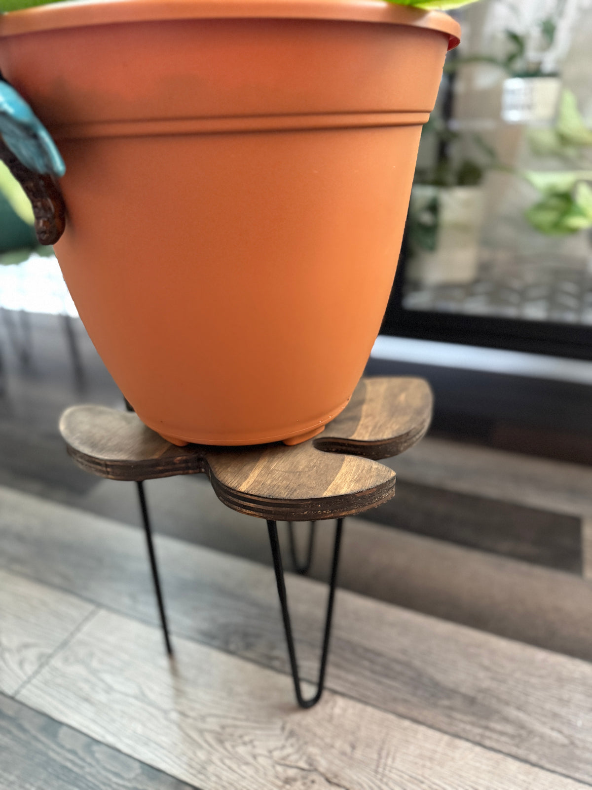 Fig leaf stand in red oak stain finish