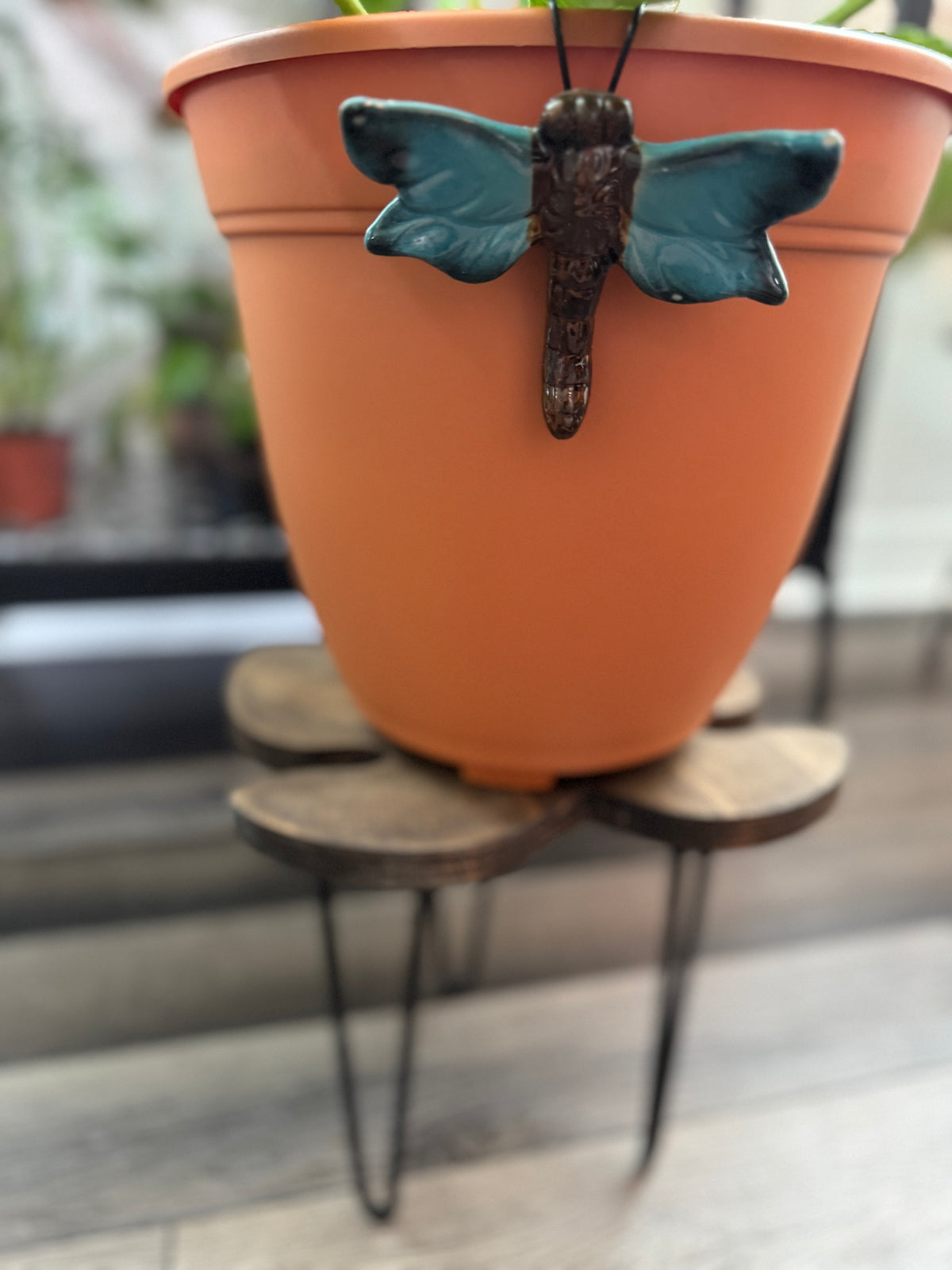 Fig leaf plant stand detail showing carved leaf edge and wood grain