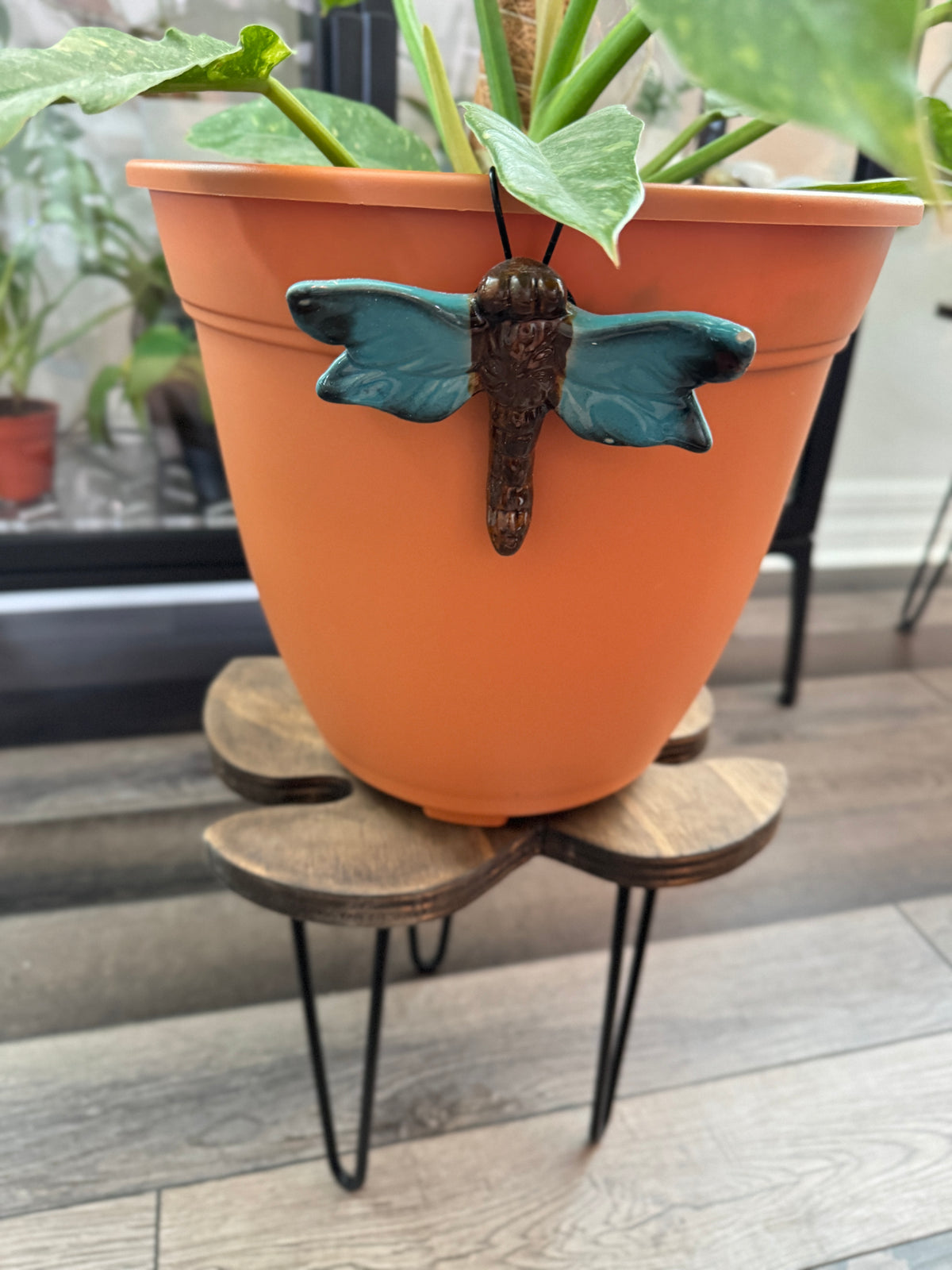 Fig leaf plant stand in early American stain styled in a home
