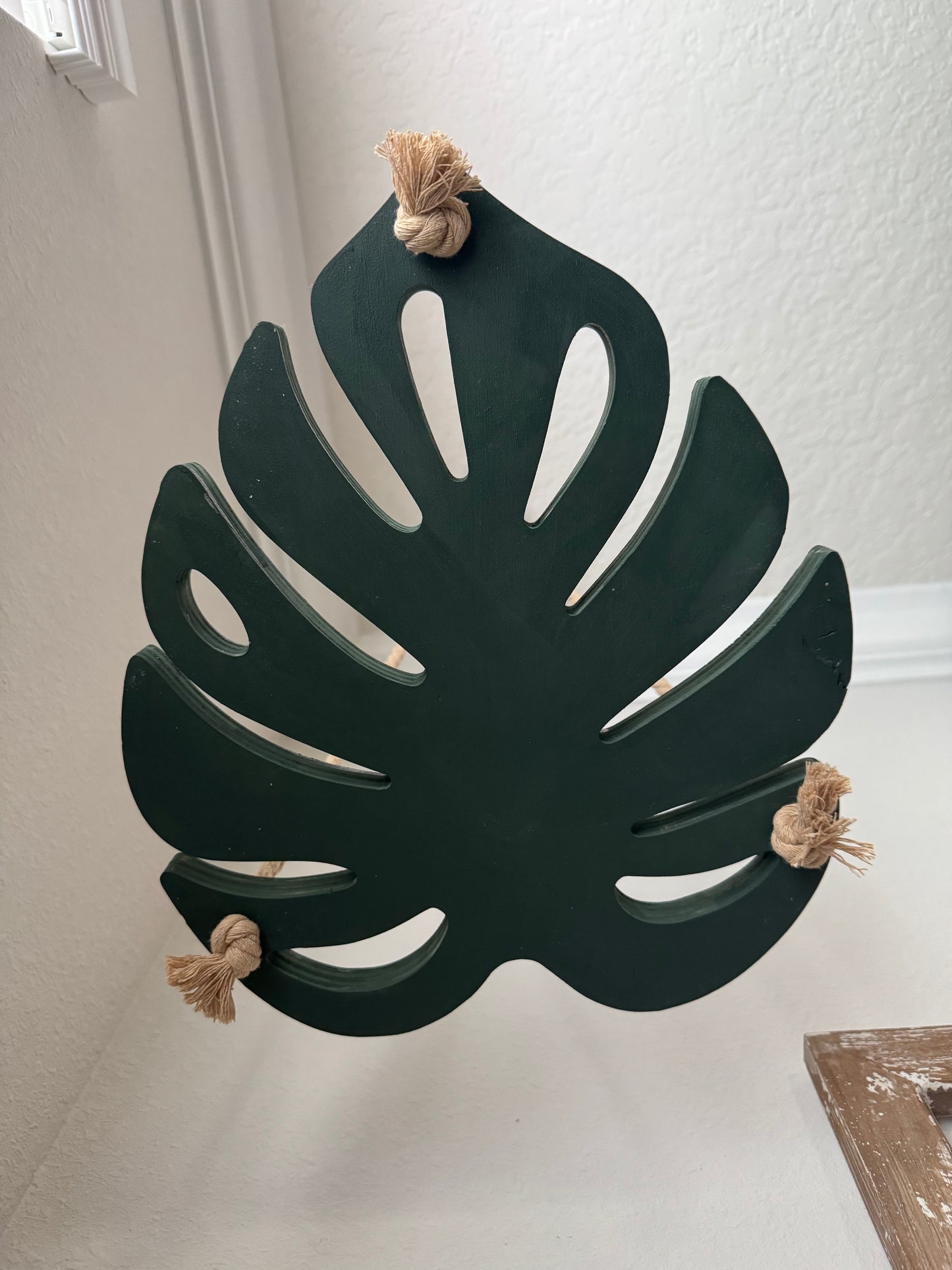 Monstera Leaf Plant Hanger