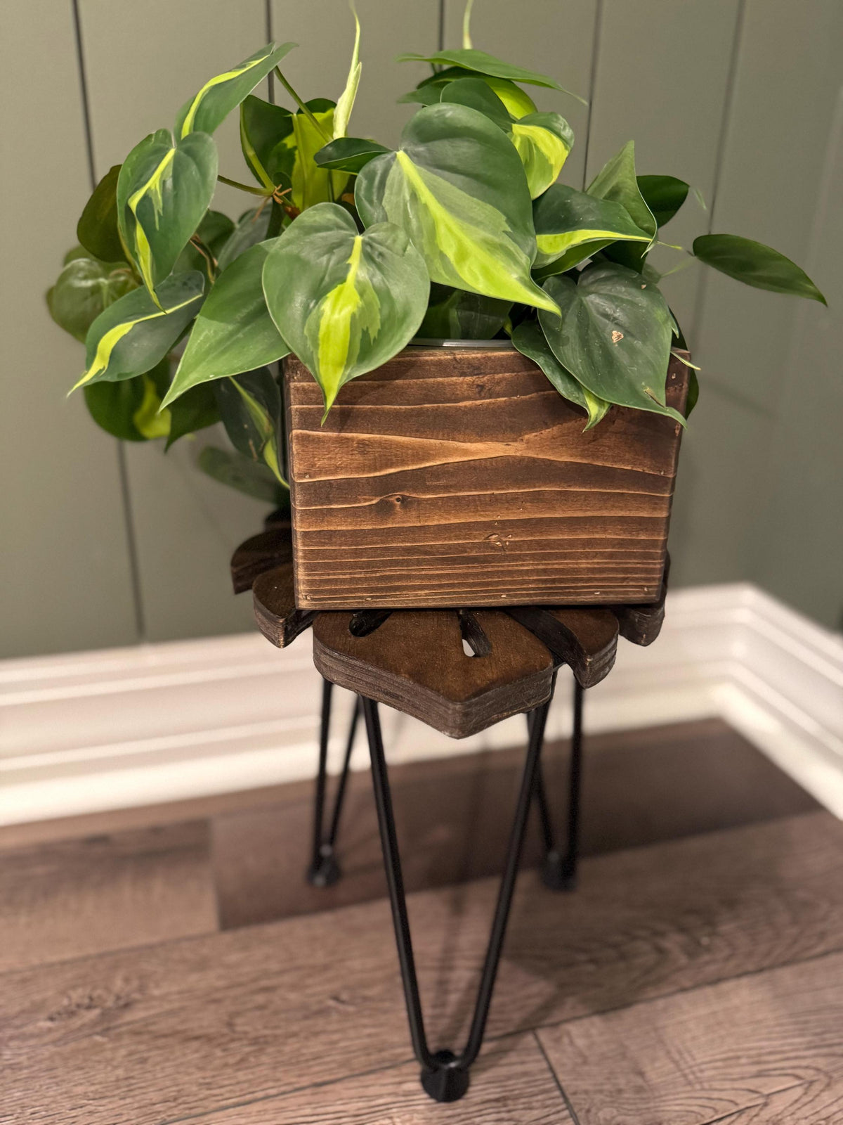 Rustic wooden planter box side view showing wood grain
