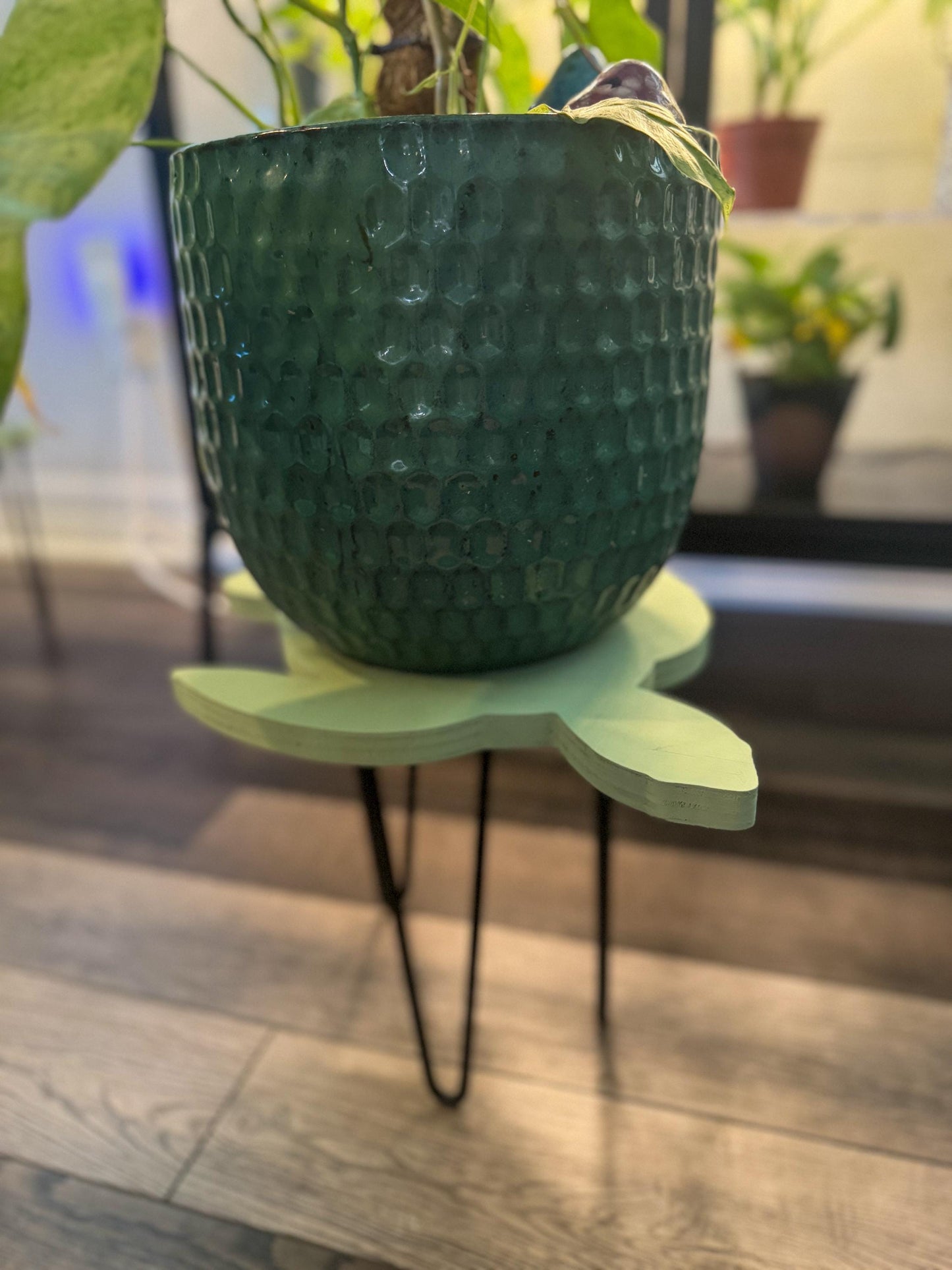 Sea Turtle Stand