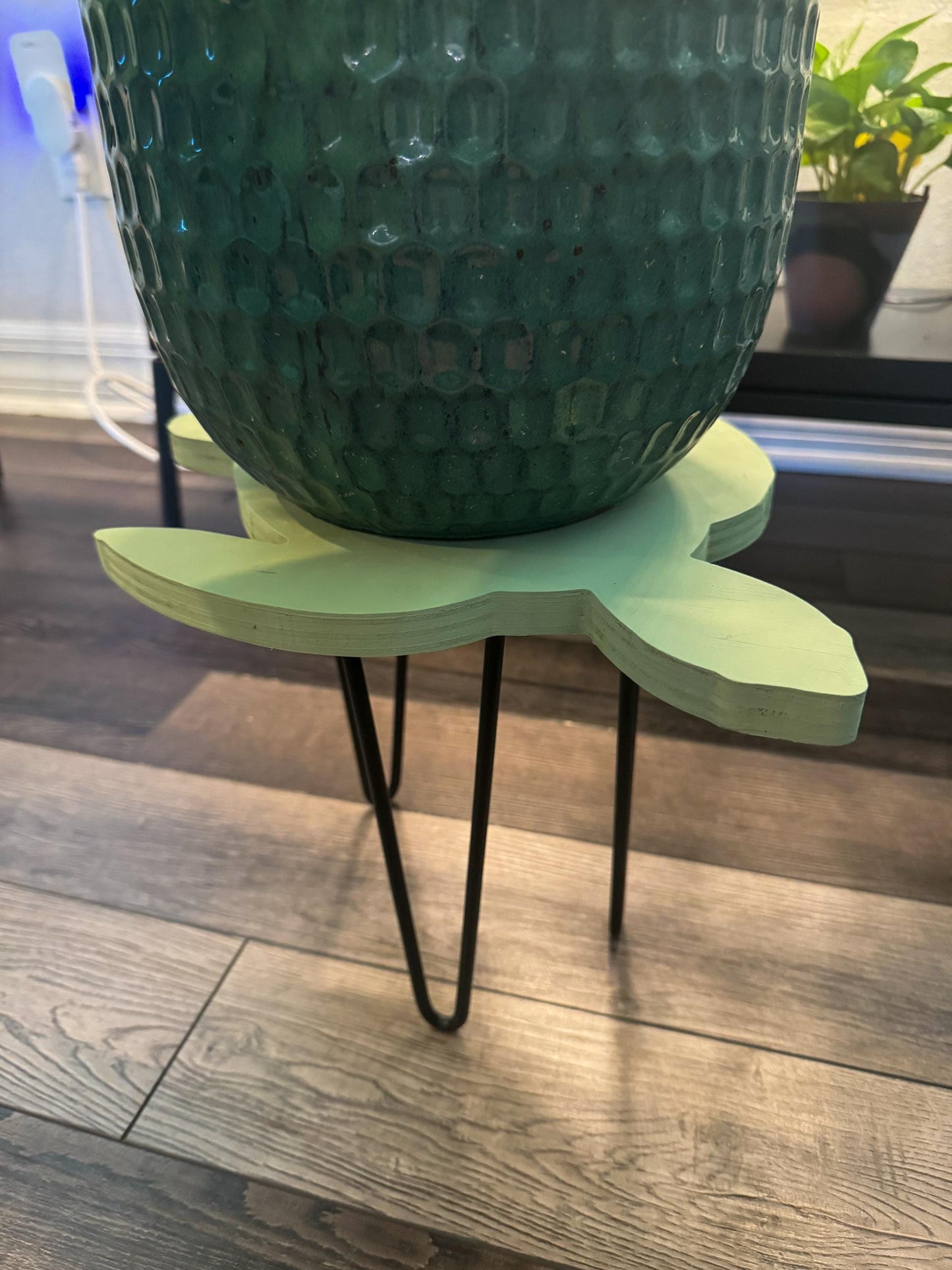 Sea Turtle Stand