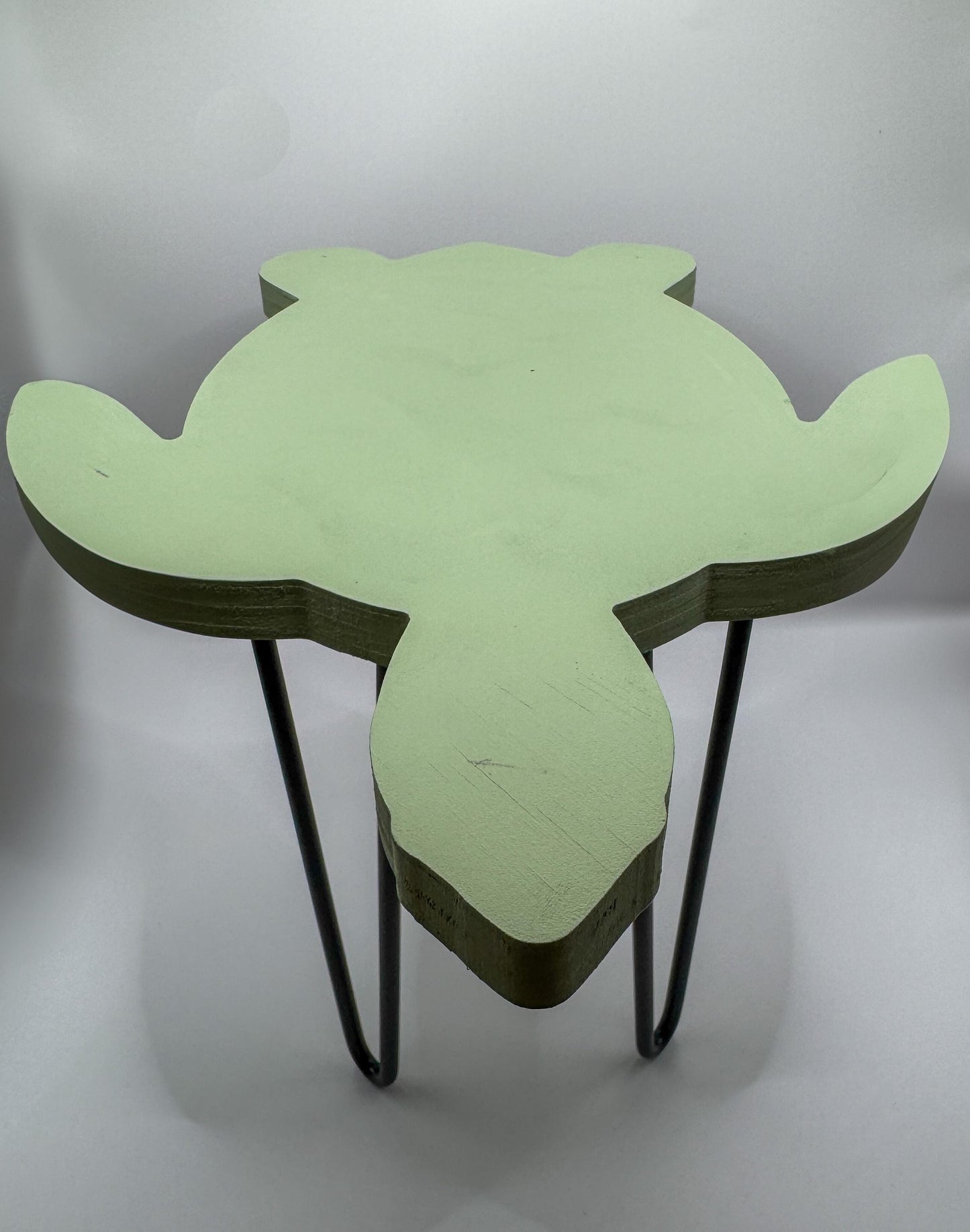 Sea Turtle Stand